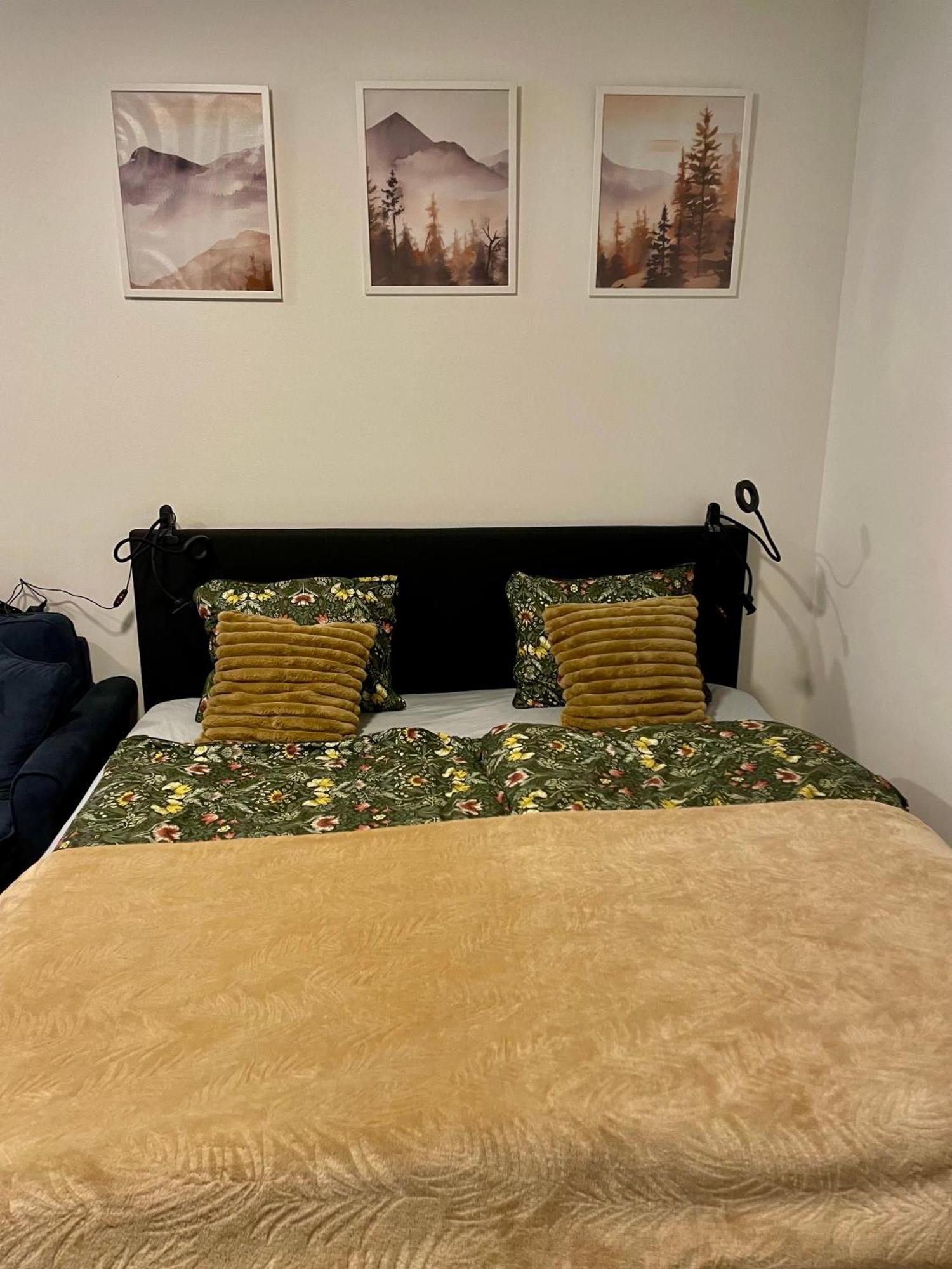 Apartment Navi- Modern Studio In Krkonose Foothills Stare Buky Екстериор снимка
